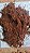 Substrato Pó De Coco Premium - Carolina Soil - 8 Litros - 2,8kg - Imagem 4