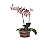 Vaso de Plástico para Orquídeas N 19 - Cores e Kits - Imagem 5