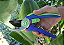 Tesoura de Poda Bypass Home Garden - Forth Jardim - Imagem 2