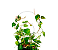 Tutor para Plantas Urban Arcos Branco - 50cm - Raiz - Imagem 2