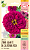 Sementes de Zinnia Gigante da Califórnia Rosa 300mg - Isla Multi - Imagem 1
