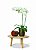 Cachepot Vaso Mayk Sky Burn 12x13 - Metal - TS Brasil - Imagem 3