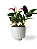 Vaso San 3 Canelado - Pote 10 - Raiz - Imagem 1