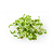 Sementes de Microverdes de Coentro Maya 100g - Isla PRO - Imagem 2