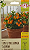 Sementes de Tomate Mini Laranja Taormina - 100mg - Isla Multi - Imagem 1