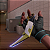 Karambit Prime Sublime - Imagem 4