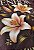 T-SHIRT FEMININA - PLANTADA NA CASA DO SENHOR - COR MARROM - Imagem 4