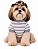 Roupa pet - Camisa Pet Chaves Menino da Vila - Imagem 7