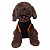 Roupa pet - Vestido Halloween Abobora - Imagem 2