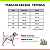 Coleira Peitoral Pet com Guia - Abacaxi - Imagem 6