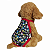 Roupa Pet - Biquini Maio Personagens Praia Tecido Neoprene - Imagem 3