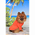 Roupa Pet - Camisa Laranja com Proteção Solar UV50+ - Imagem 1