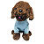Roupa pet  - Pierre Modelo Casaco - Imagem 2