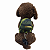 Coleira Peitoral Pet com Mochila e Guia - Camuflado - Imagem 2