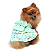 Roupa Pet - Vestido Mel - Imagem 1