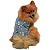 Roupa Pet - Alvin Modelo Regata - Imagem 1