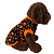 Roupa Pet - Regata Gomes Halloween - Imagem 7