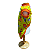 Roupa Pet - Diversão Modelo Regata - Imagem 5