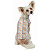 Roupa Pet - Camisa Blogueira com Proteção Solar UV50+ - Imagem 1