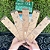 Incenso 100% Natural - Imagem 1