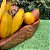 Gamela / Fruteira Artesanal Rústica de Madeira - Imagem 4