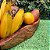 Gamela / Fruteira Artesanal Rústica de Madeira - Imagem 5