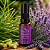 Perfume Botânico 100% Natural Tranquilidade - Imagem 2