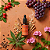 Sérum Anti-idade Elixir do Tempo - Imagem 2