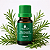 Óleo Essencial de Alecrim 10ml - Imagem 7