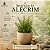 Óleo Essencial de Alecrim 10ml - Imagem 5