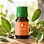 Óleo Essencial de Litsea Cubeba May Chang 10ml - Imagem 3