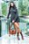 BOTA ALINE VERNIZ SOFT CHOCO - Imagem 4