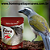 Ração Reino das Aves Trinca de Ferro Fibra Pimenta 500gr - Imagem 1