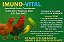 IMUNO-VITAL  Imunidade Forte, Crescimento e Desenvovimento com Proteção Total para Suas Aves!. 30mL - Imagem 3