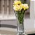 Vaso Decorativo de Vidro Flores Red Cherry Musala Vase - Imagem 5