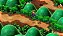 Super Mario RPG - Imagem 2