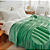 Manta Cobertor Casal Microfibra Fleece Toque Macio 180x200 Cm - Verde - Imagem 4