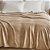Manta Cobertor Casal Microfibra Fleece Toque Macio 180x200 Cm - Bege - Imagem 2