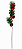 HASTE FLOR NATALINA - 60CM - Imagem 1
