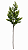 HASTE NATALINA CIPRESTE - 68CM - Imagem 1