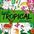 Livro Floresta Tropical: colorir e relaxar - Imagem 1