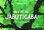 Livro Meu pé de jabuticaba - Imagem 1