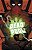 Livro Deadpool (2025) 03 (Volume 3) - Imagem 1