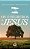 Livro Os 12 segredos de Jesus: Como ser líder de si mesmo... - Imagem 1