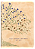 Livro Bíblia Bilíngue Nvi/Niv, Português/Inglês, Couro-Soft, Be... - Imagem 1