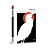 Livro Carcaça de alma urubu não come - Imagem 1