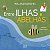 Livro Entre ilhas e abelhas - Imagem 1