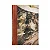 Livro Mabinogion - Imagem 1