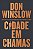 Livro Cidade em chamas - Imagem 1