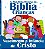 Livro As mais belas histórias da bíblia para crianças: na... - Imagem 1